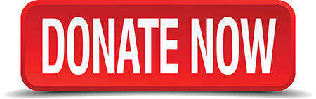 Donate now to Stand Up for Public Education